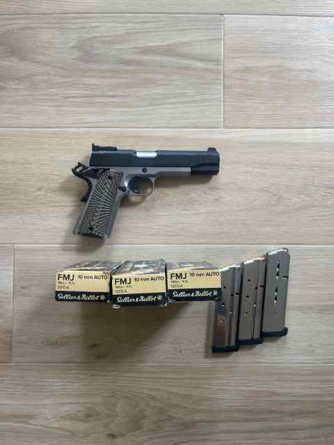 Tisas 10mm D10 1911 Stainless/Black