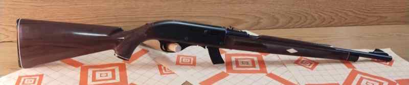 Remington Mohawk 10C Nylon .22lr box mag Rifle