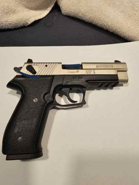 Sig Sauer Mosquito Two Tone