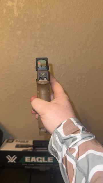IMG_4593.jpeg