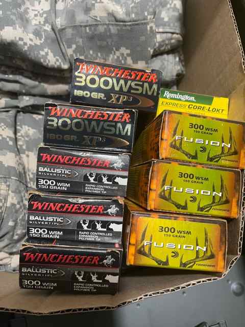 Premium 300 wsm ammo.   375.00