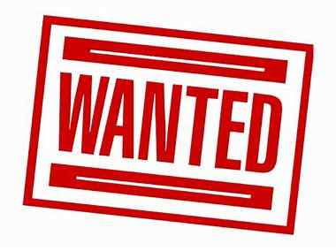 Wanted 2.jpg