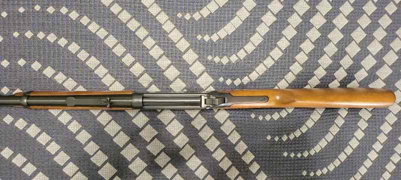 20260406_155907.jpg