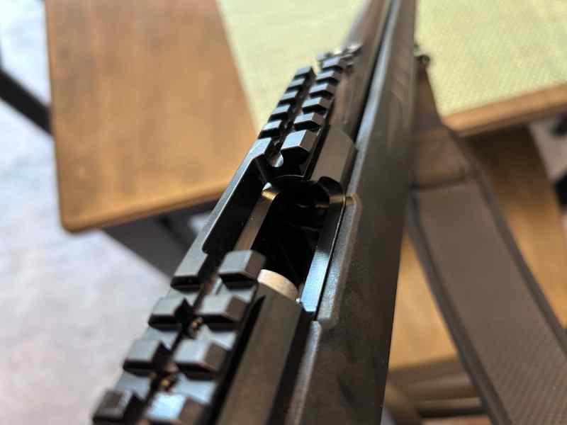 rugerAmeriRimfire target3.jpg