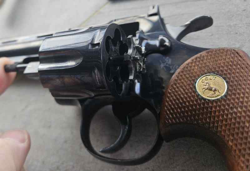 P7.jpg