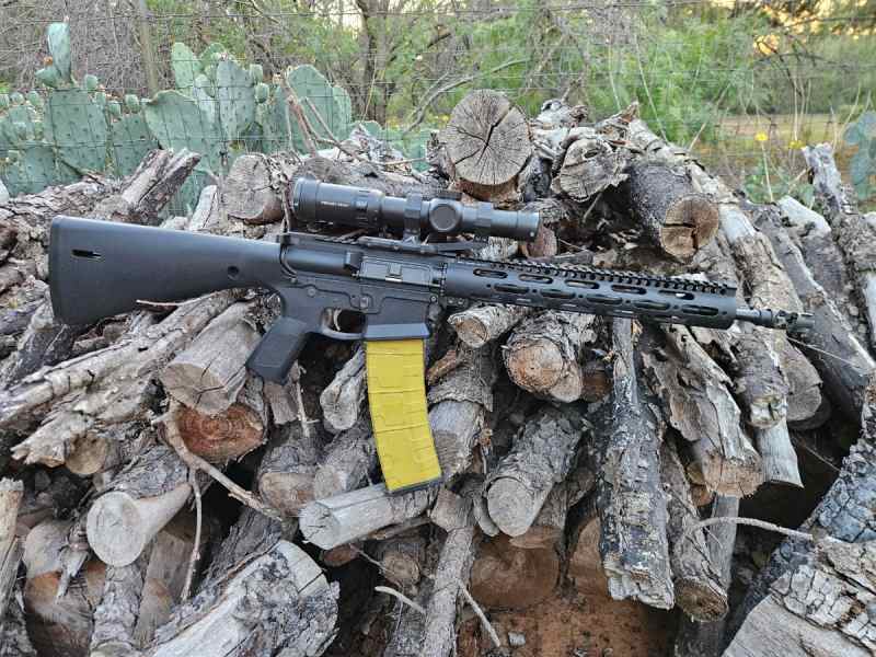 WWSD build