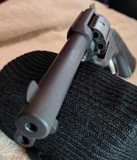 ruger 22 g.jpg