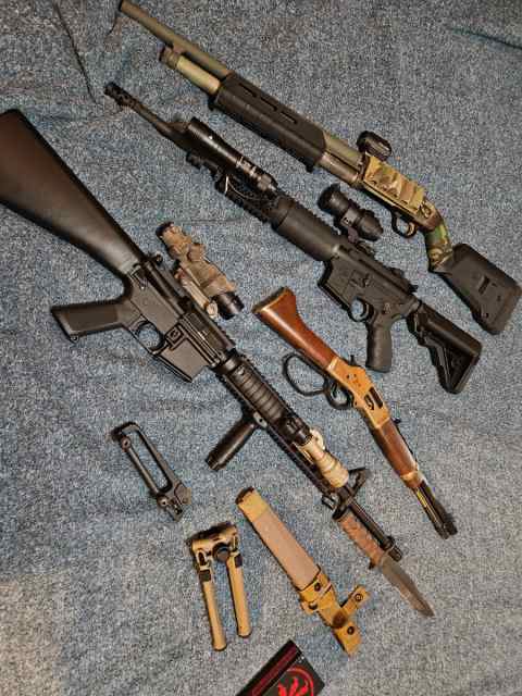 Rock River, H&amp;R, Henry, Mossberg