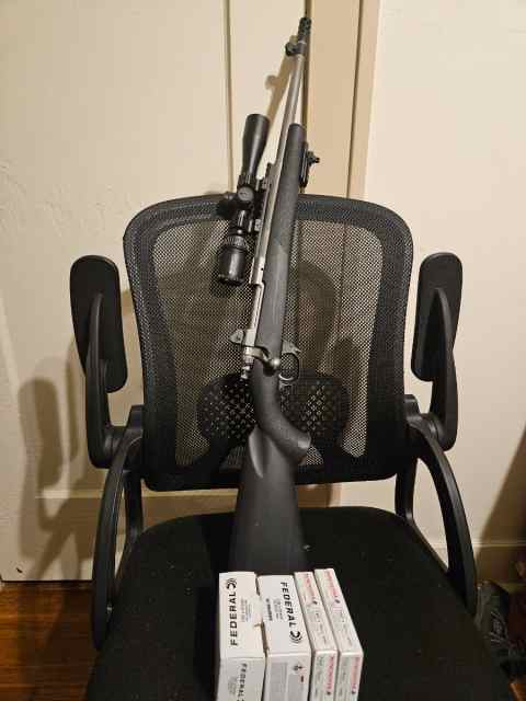 Ruger Gunsite Scout - .308