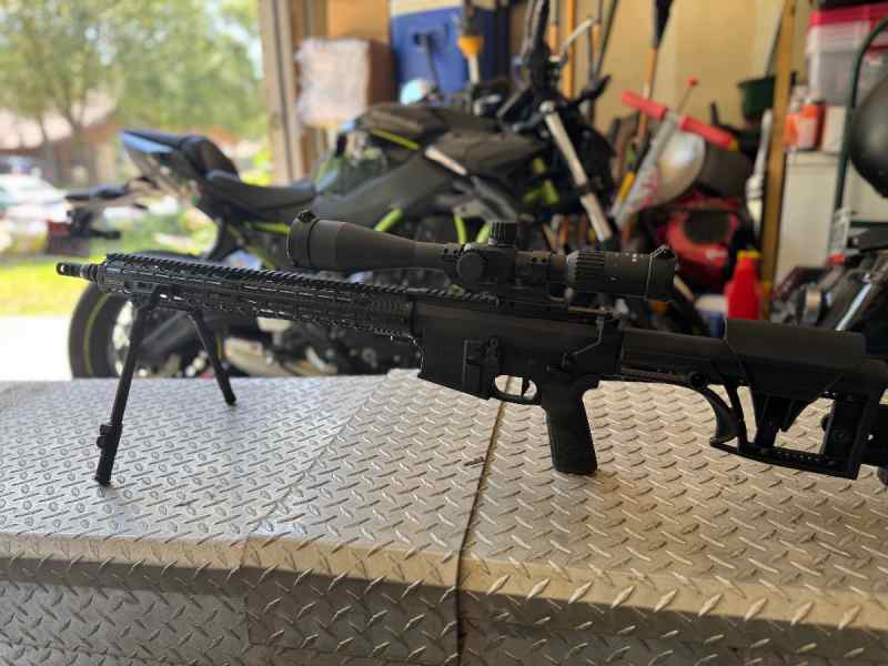 308 Ar-10