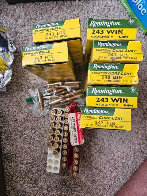 243 Win 