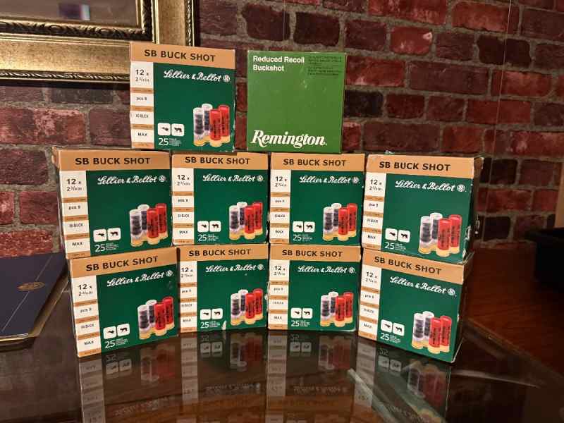 12 Gauge Shotgun Ammo