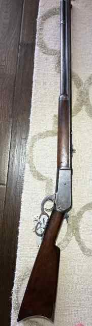 IMG_1022.jpeg