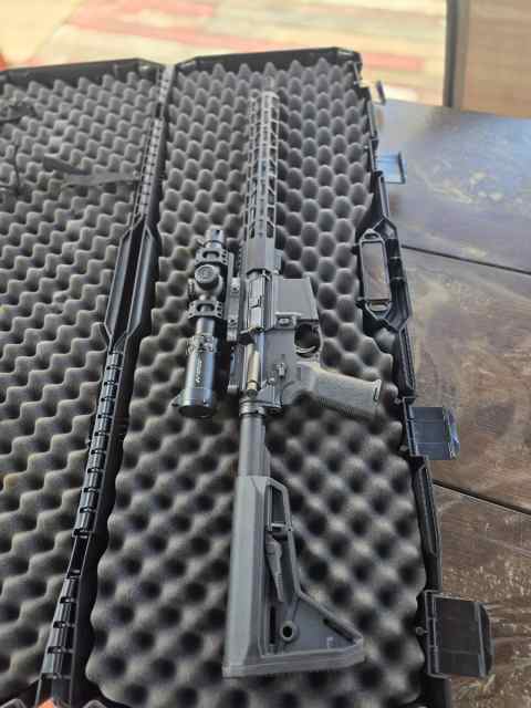 Sionics AR 5.56