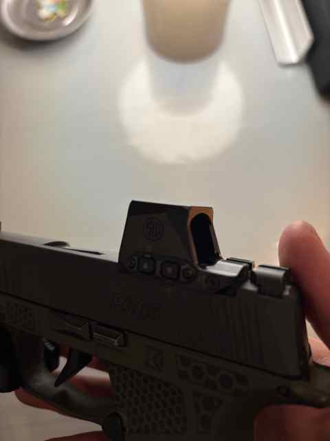 IMG_3559.jpeg