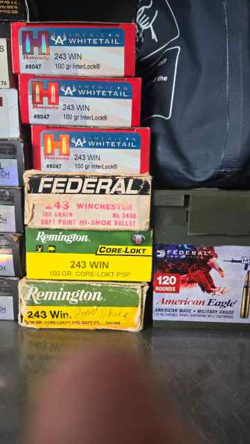 243 federal hornady remington 100 gr