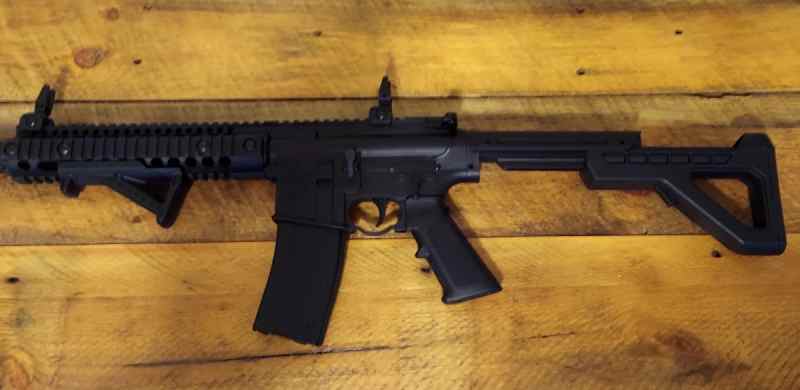 DPMS.2.jpg