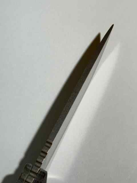 WhatsApp Image 2026-02-09 at 12.39.14 (3).jpeg