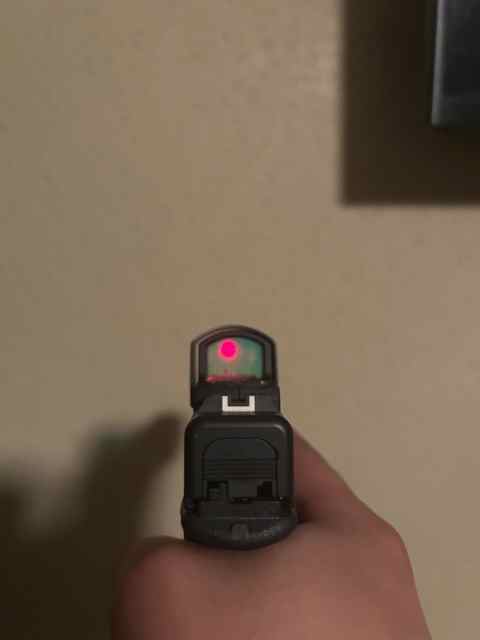 IMG_7544.jpeg
