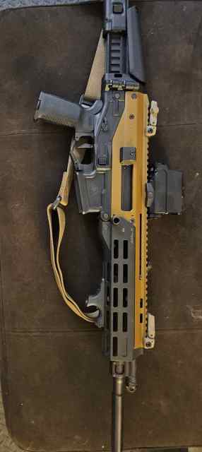 Bushmaster ACR E with Templar lower 