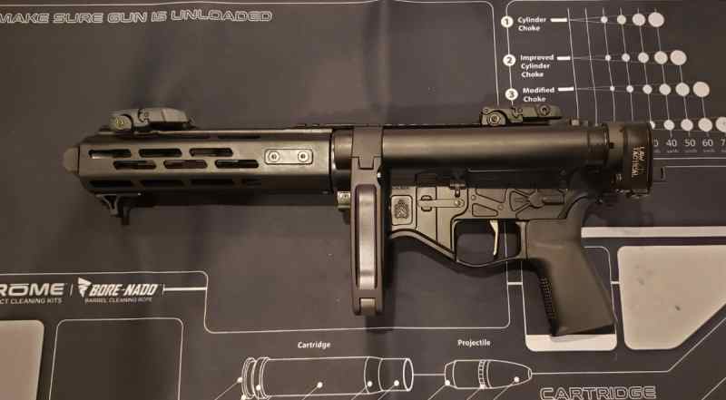 Springfield Saint EVAC takedown 556, TRUCK GUN
