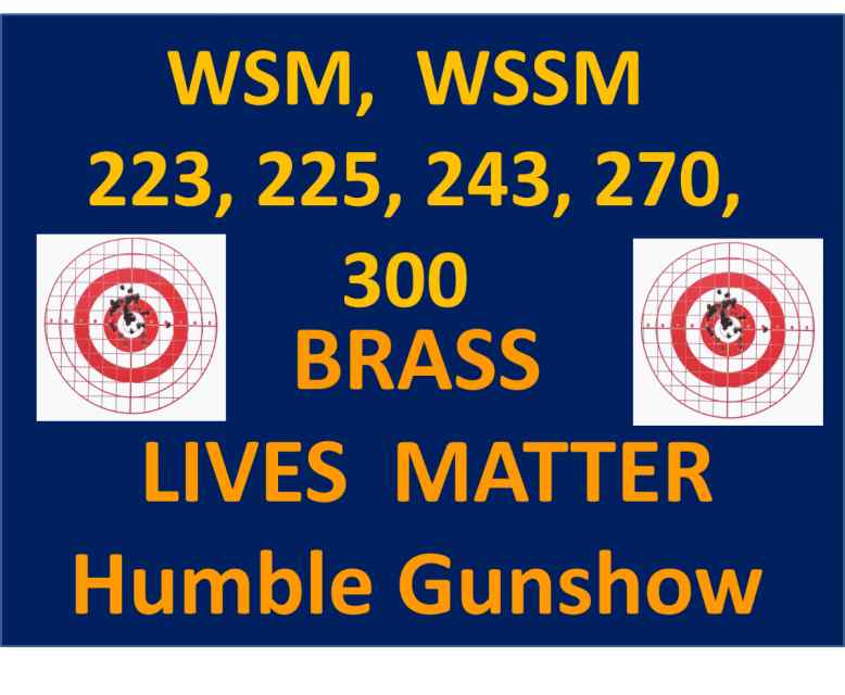 WSM WSSM-2.png