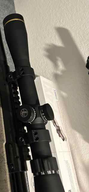 IMG_8019.jpeg