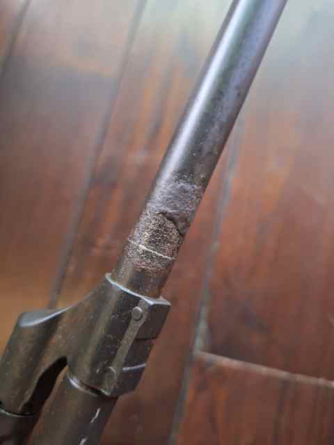 20250610_174148.jpg
