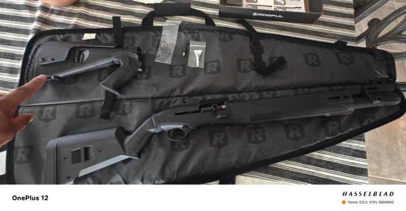 Beretta 1301 mesa tactical stock