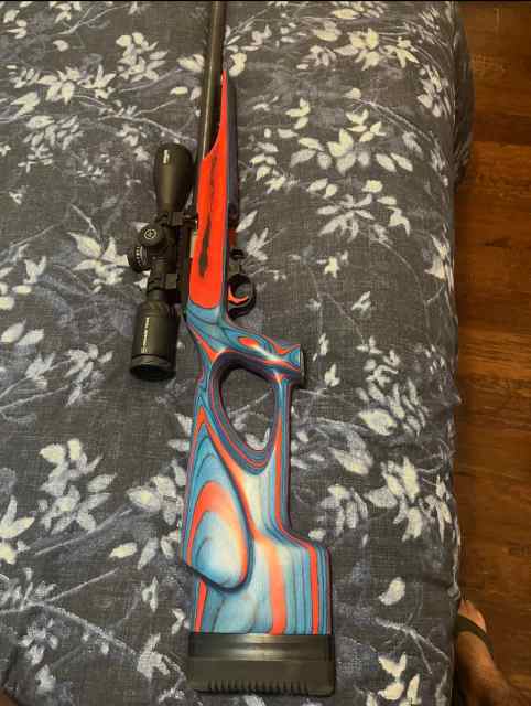 Ruger 10/22 Olympic edition 