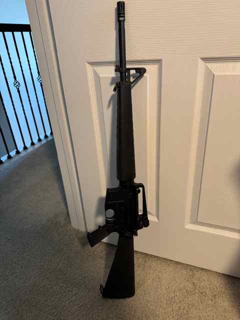 20” AR  Retro  setup Palmetto  Triangular  