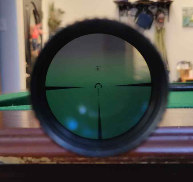 1000012117.jpg