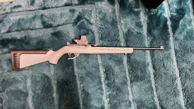 Ruger 10/22