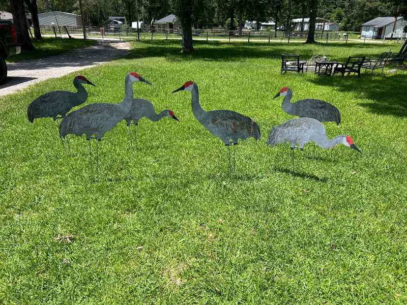Sandhill Crane Decoys