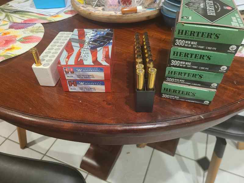 300 Winchester Magnum Winmag ammo For Sale