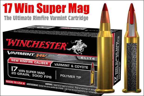 Winchester 17wsm.jpg