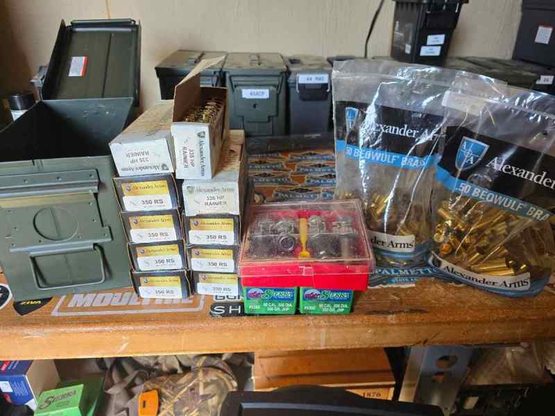 50 Beowulf supplies for sale