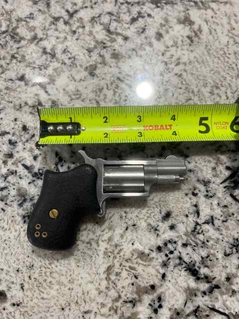 North American Arms(NAA) 22LR