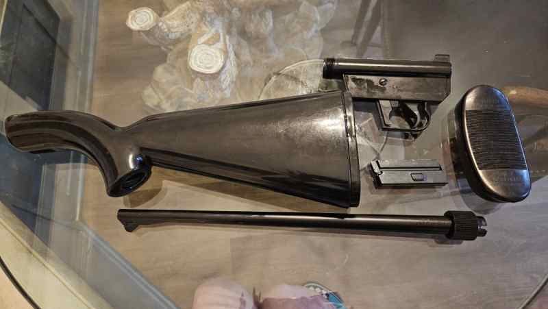 Charter arms AR-7 survival gun