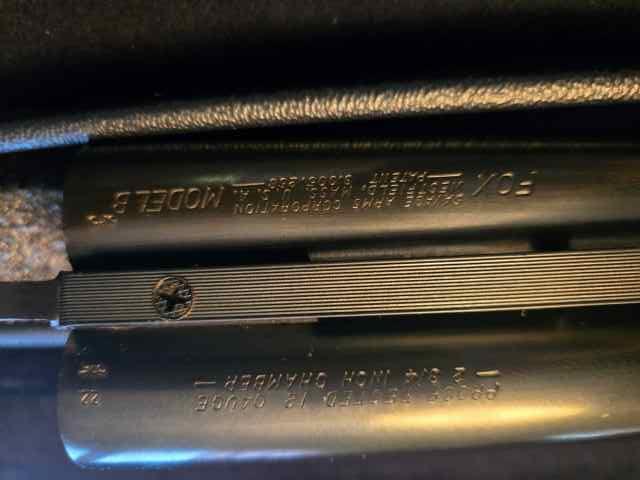20250427_073609.jpg