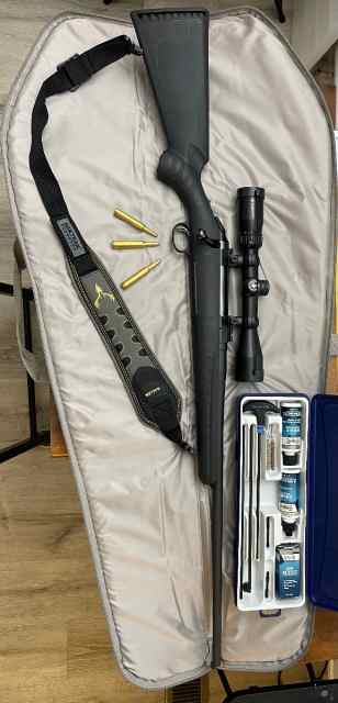Ruger American 270