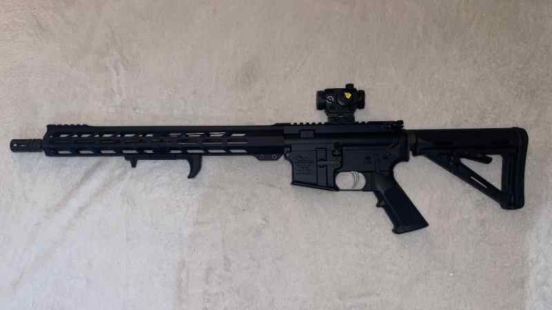 5.56 AR15 + Ruger RXM 