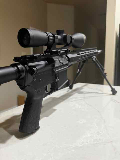 AR 15
