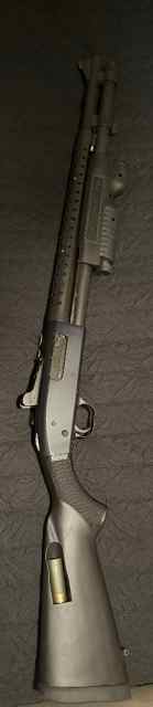 IMG_4235.jpeg