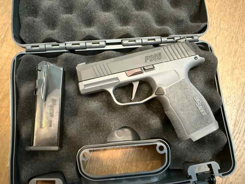 Sig Sauer P365X