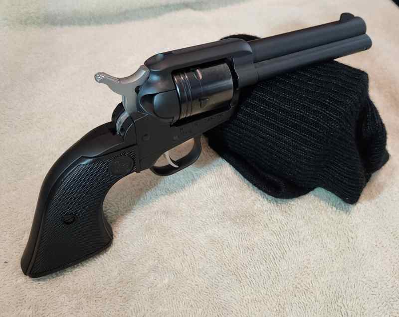 ruger 22 a.jpg