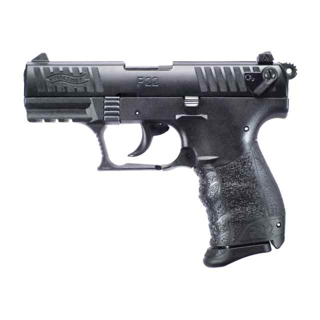 P22-Black.jpg