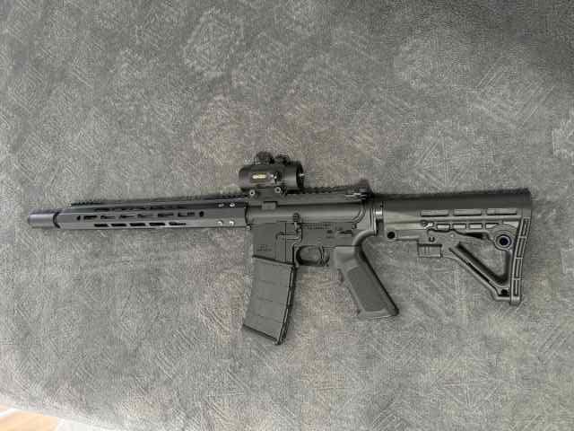 .300 blk AR-15