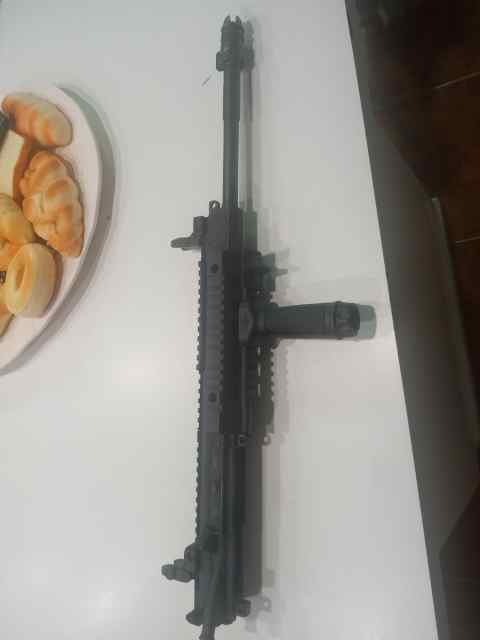 Sig Sauer 516