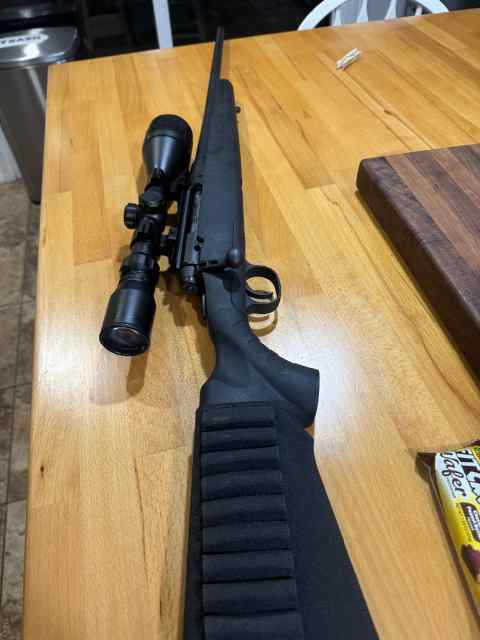 223 savage bolt action for sale 